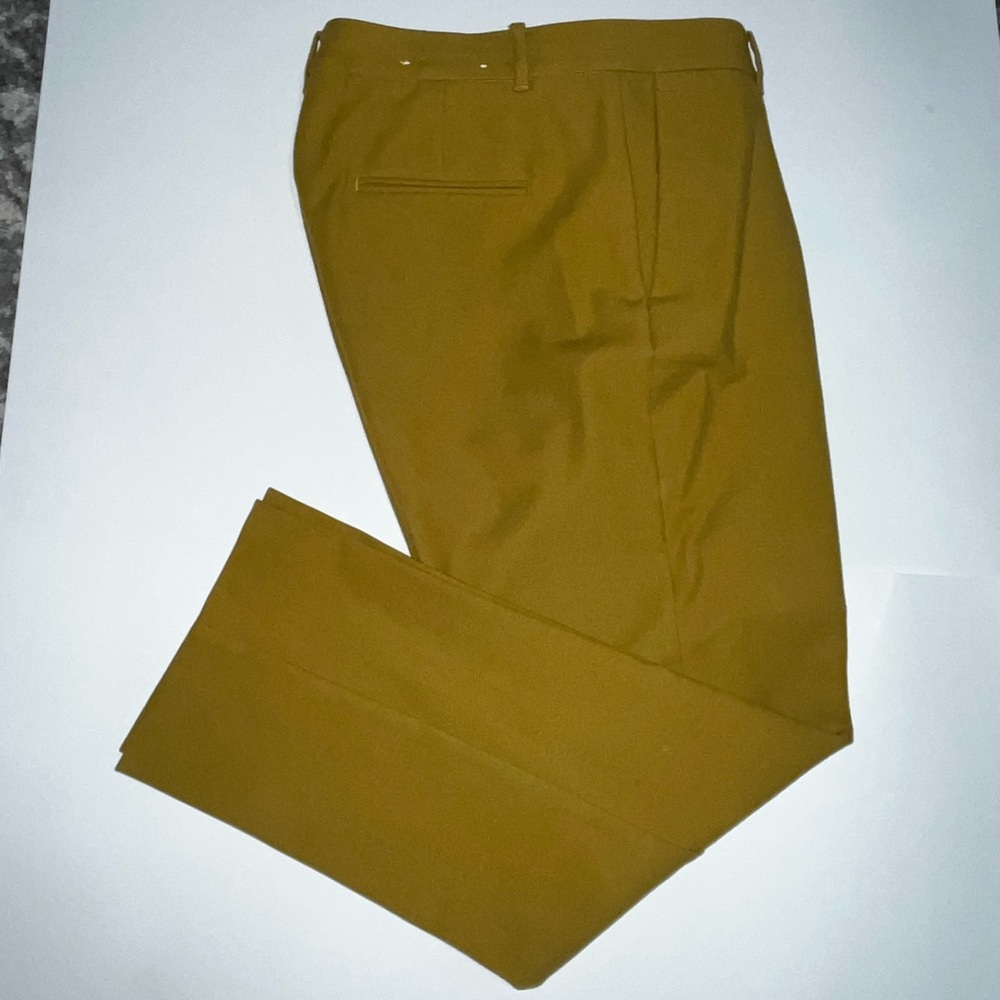 NEW ANN TAYLOR cropped pants SZ 10